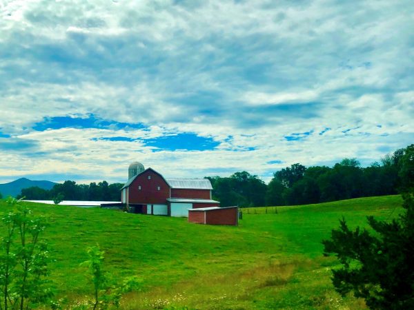 Red Barn