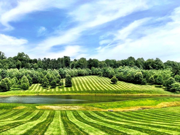 Striped fields