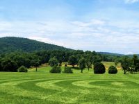 Rolling Hills