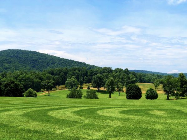 Rolling Hills