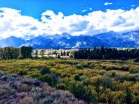 Streams from the Mountains