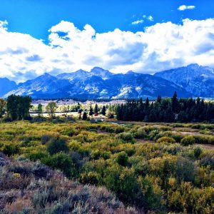 Streams from the Mountains