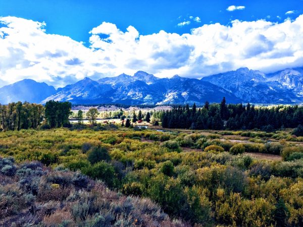 Streams from the Mountains