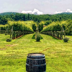 Barrels and Rows